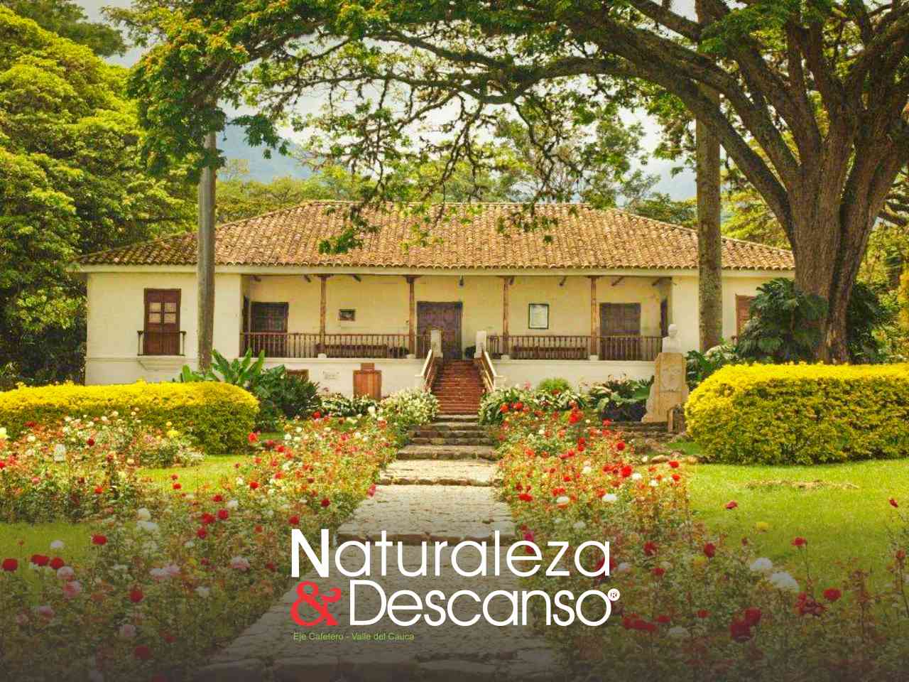 La María